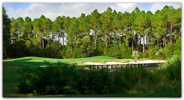 The Players Hole #14