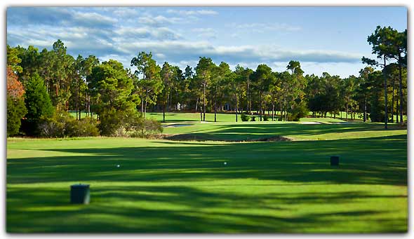 The Members Hole #8