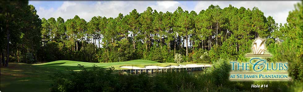 The Players Hole #14 